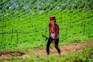 BIB: 
                            <button type="button" onclick="openModal(19164220)" class="btn btn-primary btn-sm float-right btn-popup" data-toggle="modal" data-target=".modal-high-quality">
                        <i class="fas fa-shopping-cart"></i> Add to Cart
                    </button>
                                            <button type="button" onclick="isThisMe(19164220, true)" class="btn btn-success btn-sm float-right btn-popup btn-isme hidden" data-toggle="tooltip" data-placement="bottom" title="นี่คือรูปของคุณใช่ไหม คลิกที่นี่เพื่อเอาเข้าอัลบั้ม">
                        <i class="fas fa-plus"></i> Add to album
                    </button>
                    <button type="button" onclick="isThisMe(19164220, false)" class="btn btn-warning btn-sm float-right btn-popup btn-isnotme hidden">
                        <i class="fas fa-ban"></i> Remove from album
                    </button>